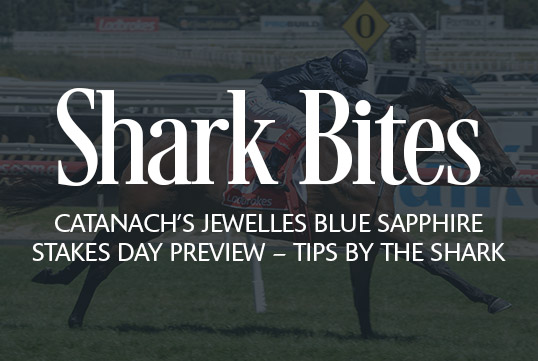 Shark Bites: Catanach’s Jeweller’s Blue Sapphire Stakes Day Preview