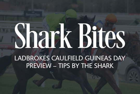 Shark Bites: Ladbrokes Caulfield Guineas Day Preview